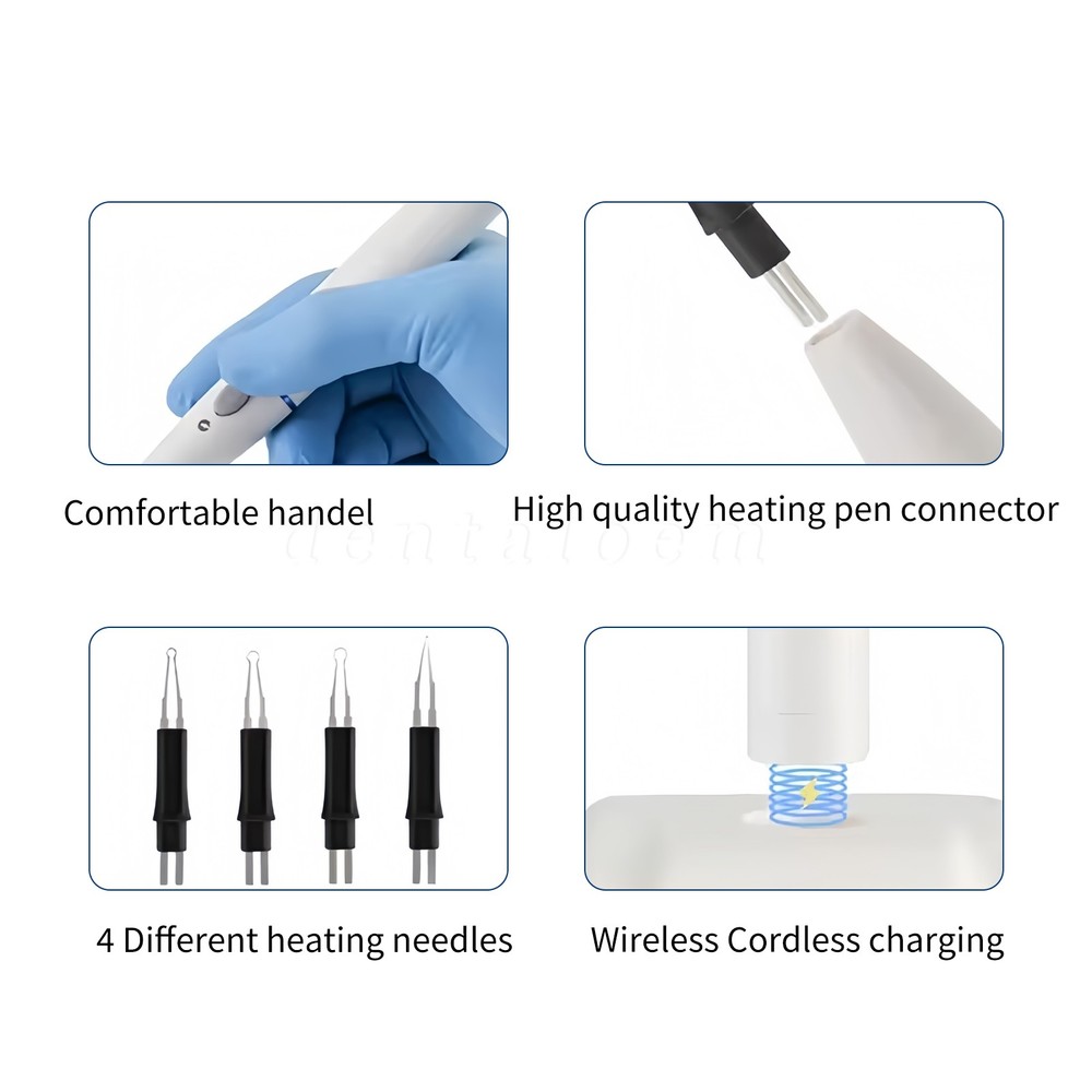 Dental Gutta Percha Obturation Endo Gutta Percha Points Gum Cutter
