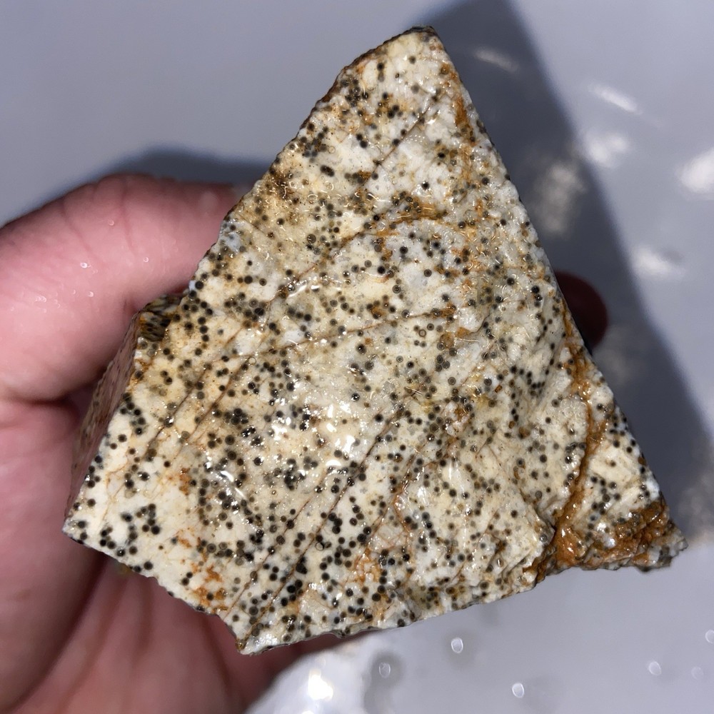 Oolite Agate Rough Lapidary Stone 1 Pound 3 Oz