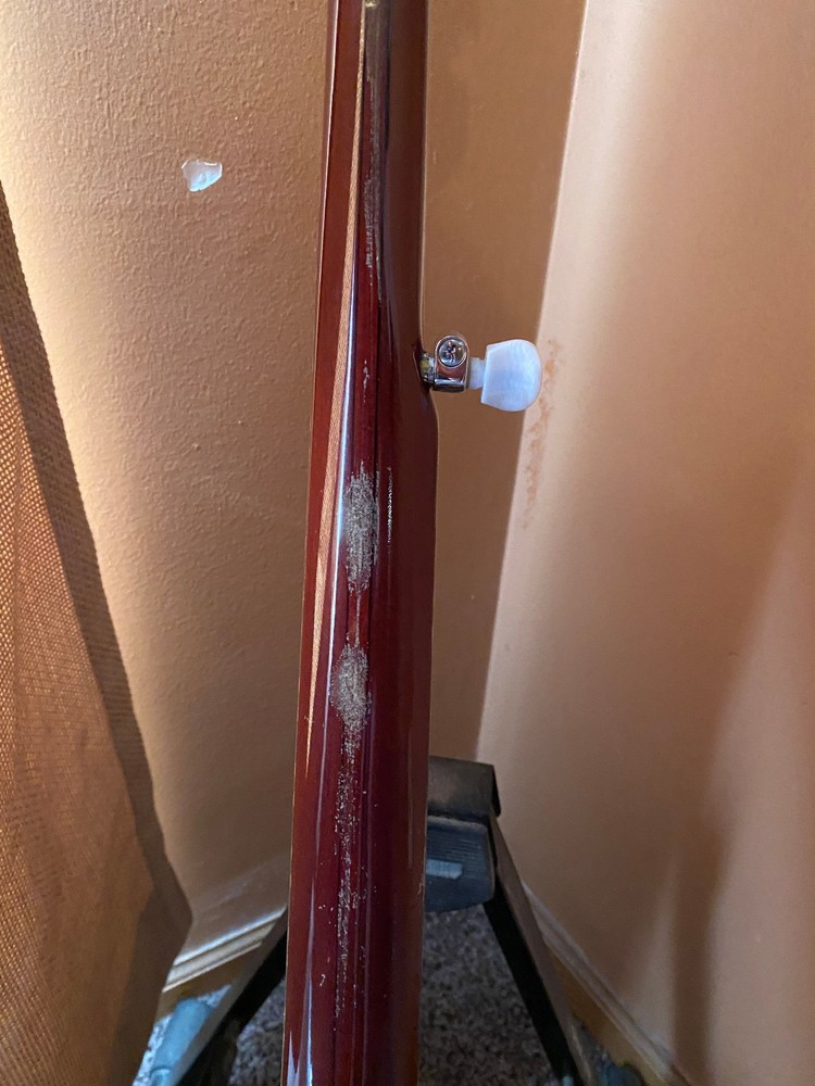 Alvarez Silver Belle 5-string banjo w/hard case