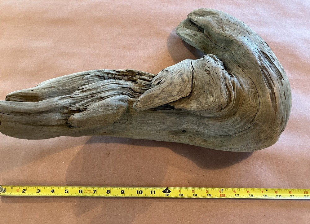 Beautiful Driftwood