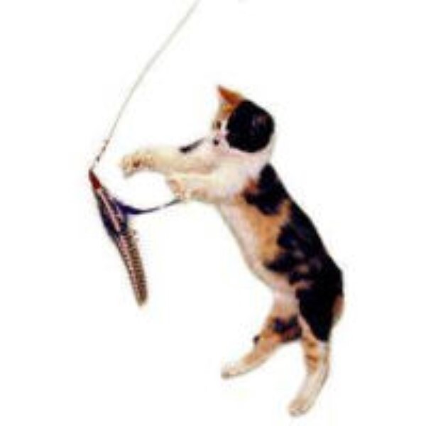 Da Bird SINGLE Pole Cat Kitten Toy with Guinea Feather Interactive Catcher Fun!