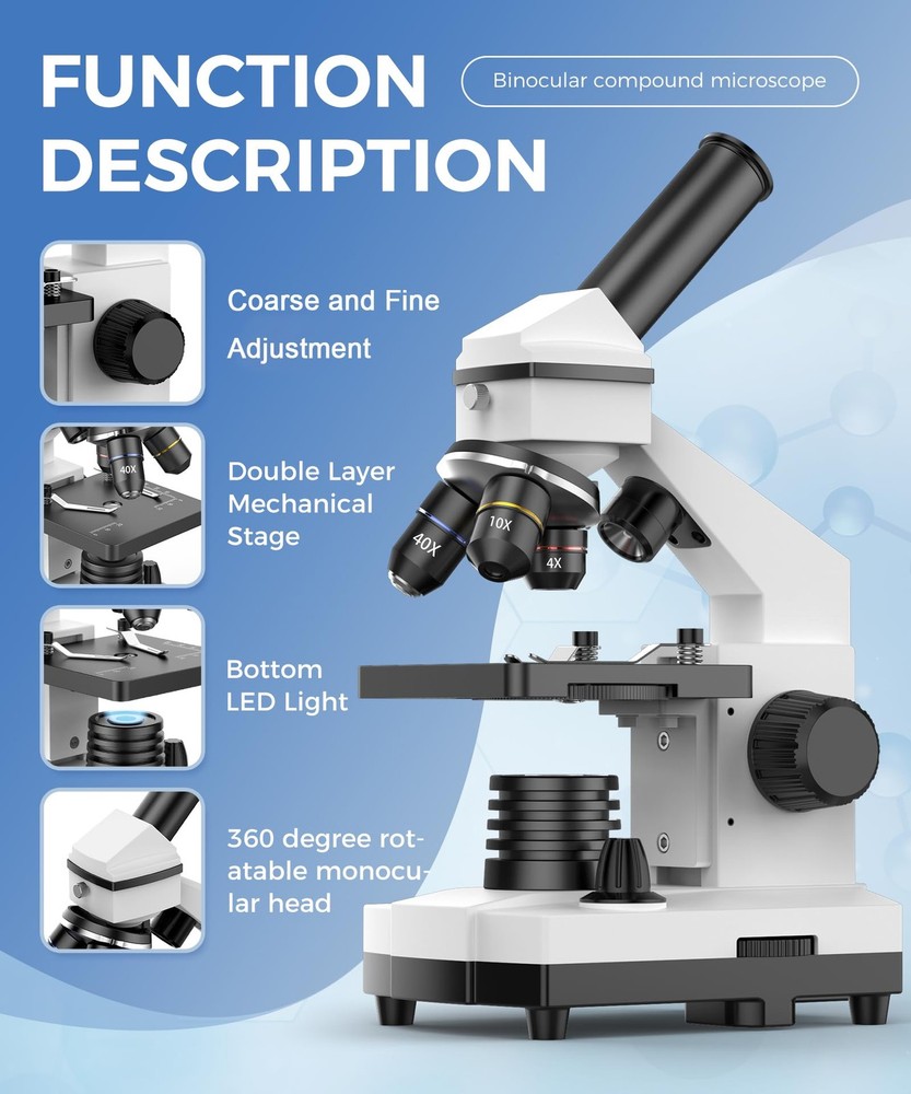 Compound Microscope for Adults & Students - 100X-2000X High-Power Biological ...