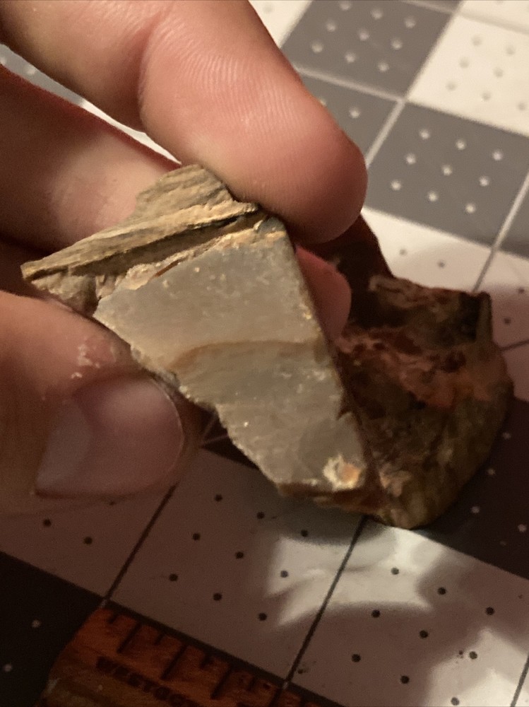 Ancient Petrified Wood Chunks