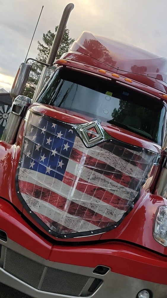 International Lonestar Premium Old Glory Mesh Bug Screen Other Models Available!