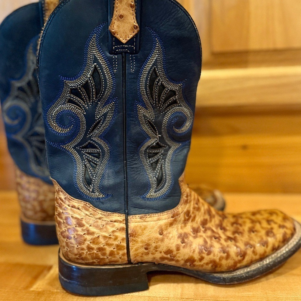 Vintage John B Stetson Boots