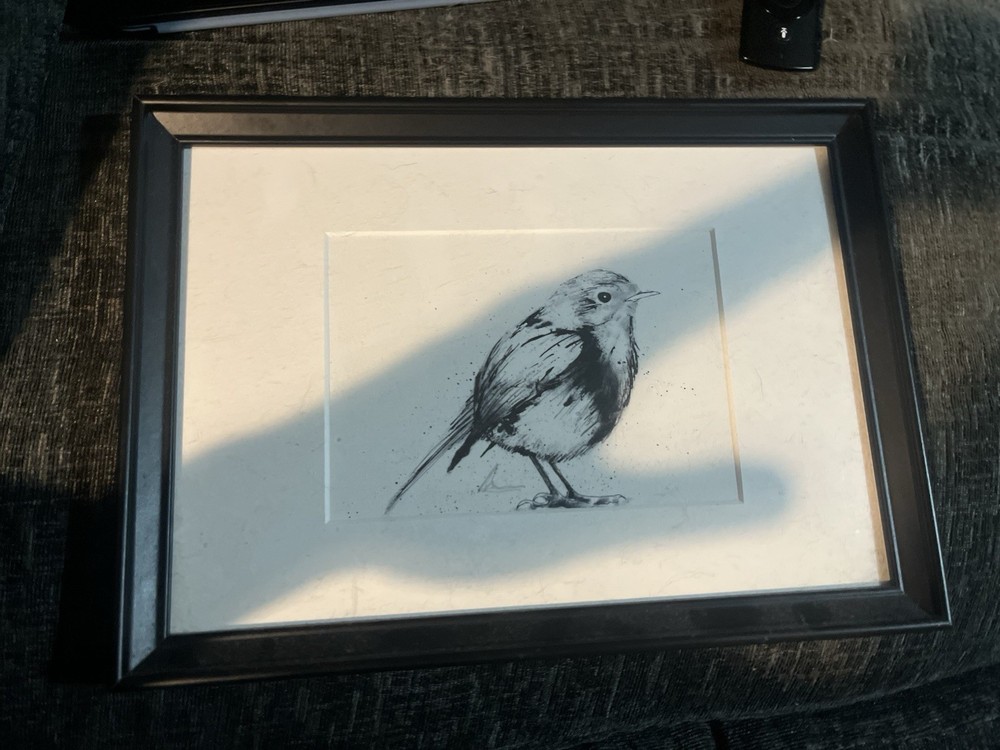 Original Robin Drawing A4 Mount Signed