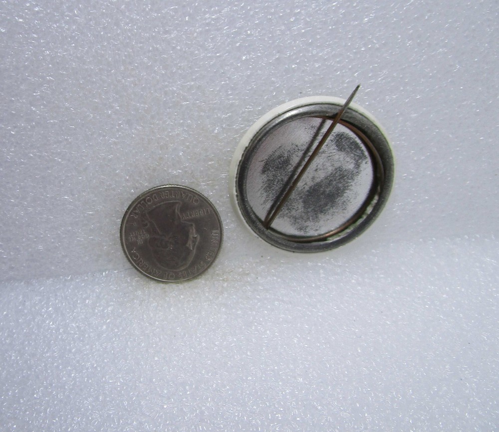 I Did Something Worthwhile Today! Button Pin