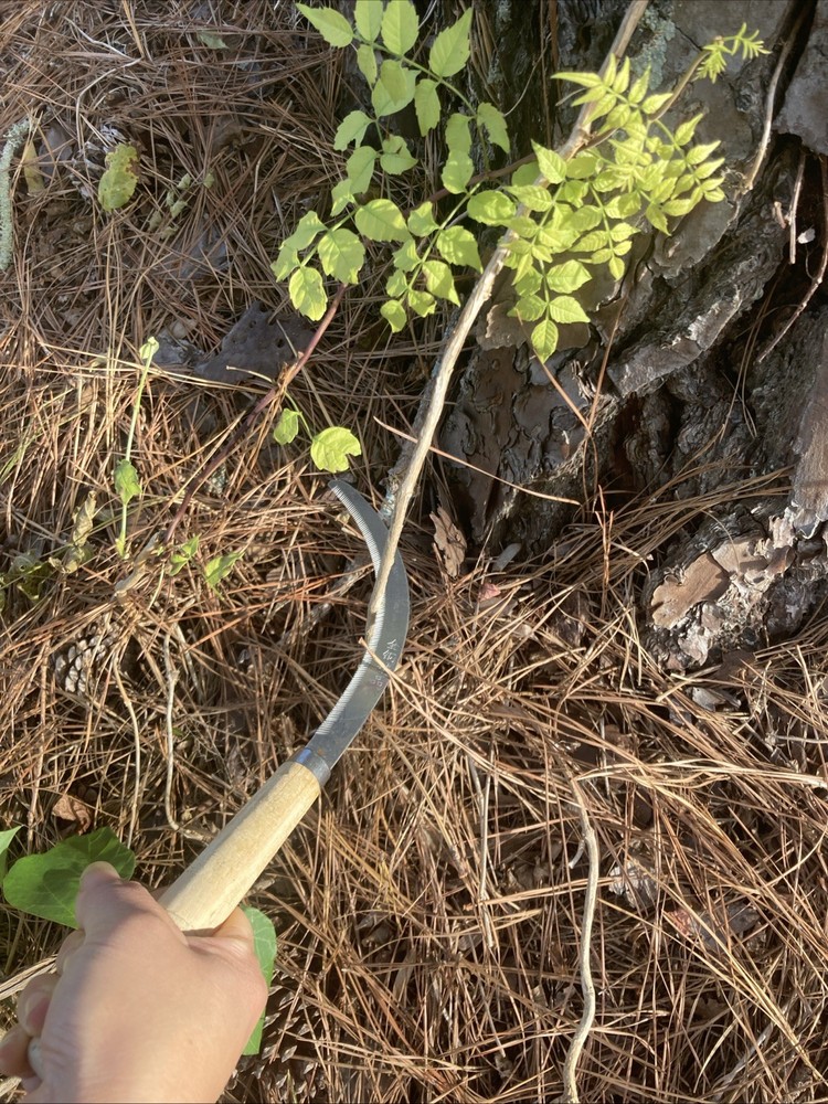 Wood Handle Mini Sickle – Compact Garden Vine & Weed Cutting Tool