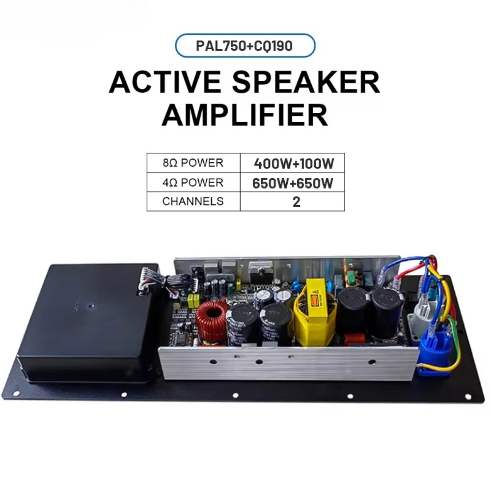 2 Way Class d DSP Power Board Module Digital Active Speaker Amplifier Module