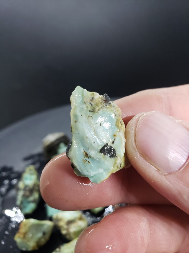 Nevada Gecko Variscite Rough 1/4 Lb