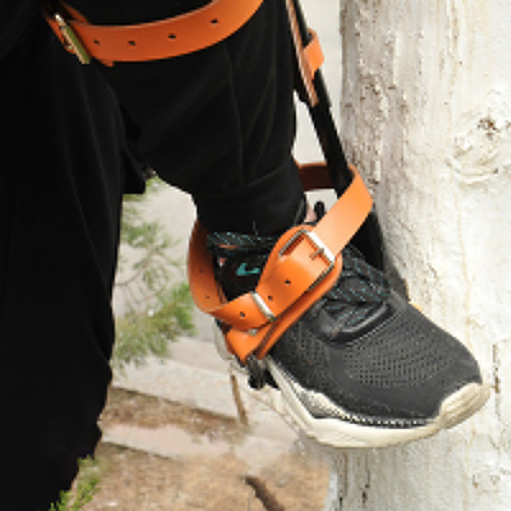 Tree Climbing Spike Set with Safety Belt for Tree Work Camping Accessories