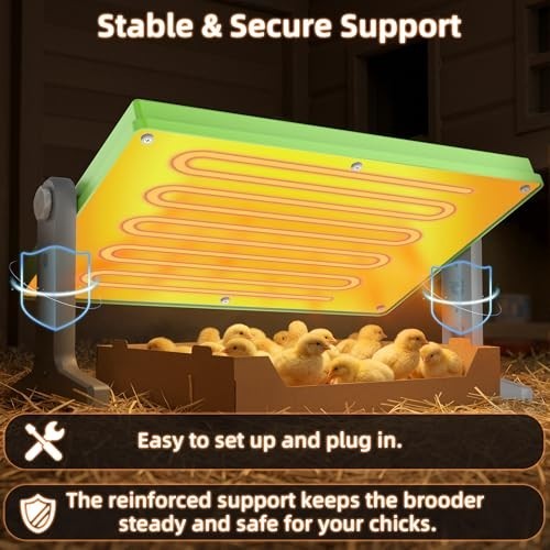 Adjustable Chick Brooder Heater 12x8 for Ducks, Birds & Chicks - Temperature Con