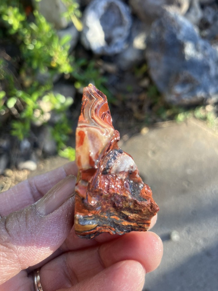 Crazy Lace Agate (End Cut)