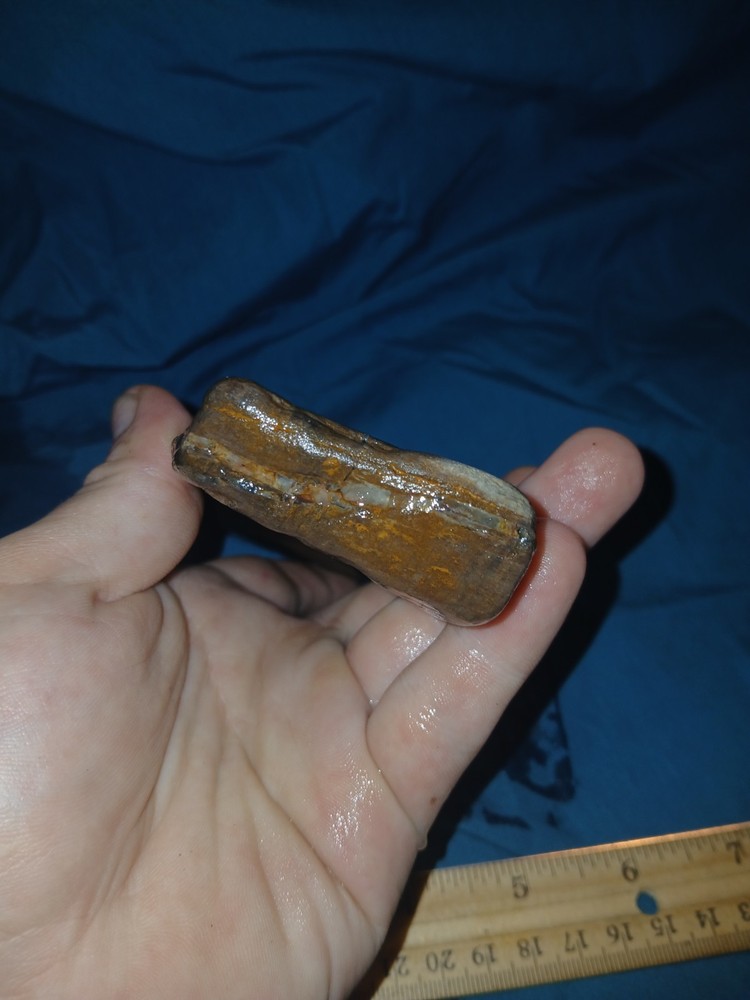 10 oz Petrified Wood