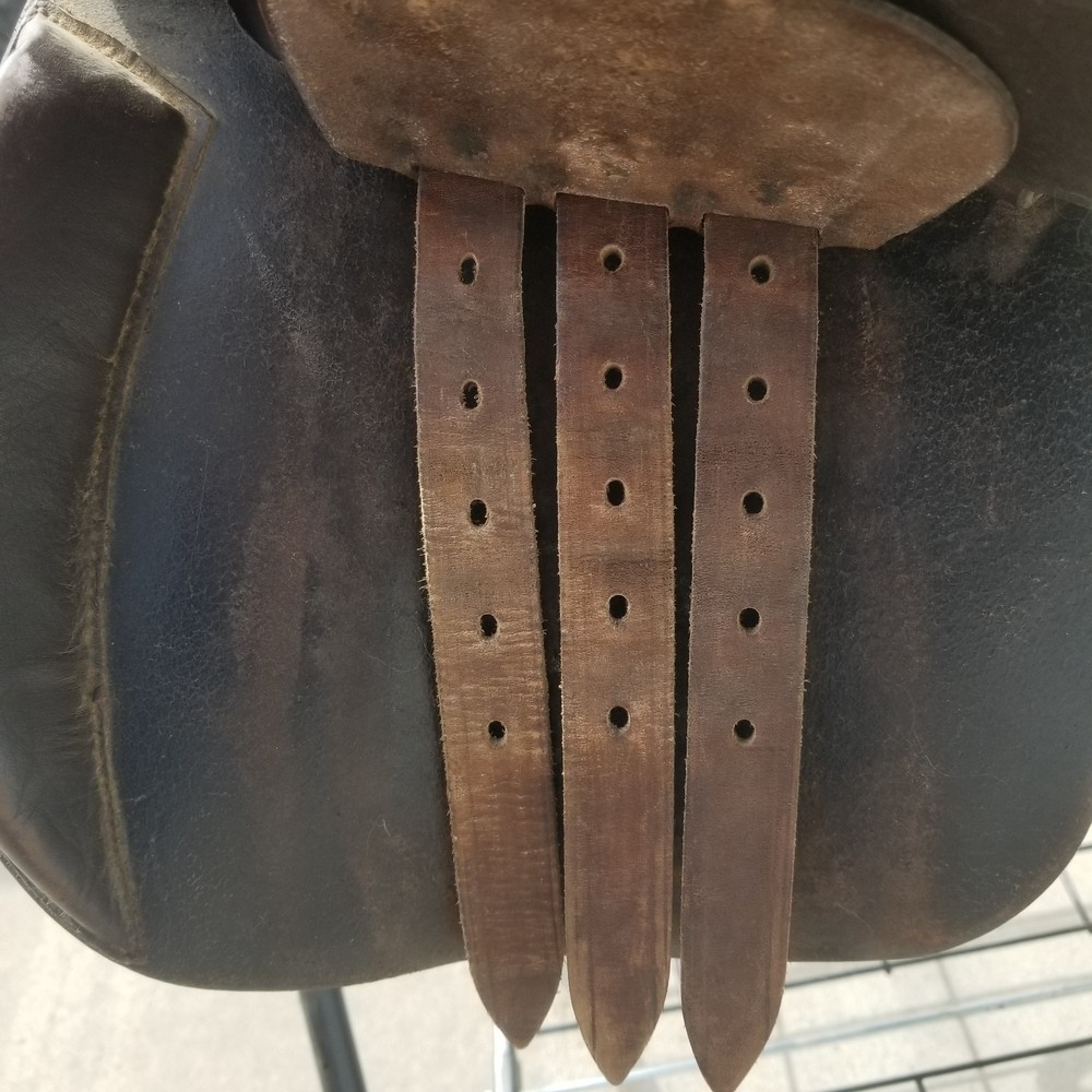 Collegiate All Purpose Saddle 16 1/2" Medium, Deep Seat