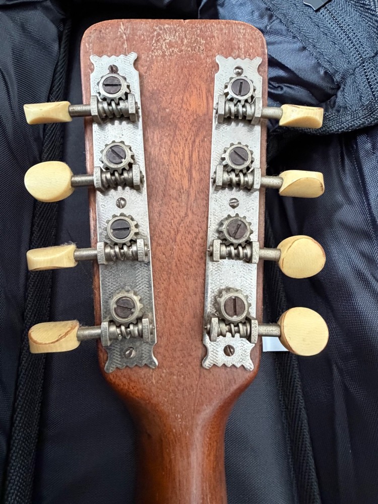 mandolins musical instrument a style