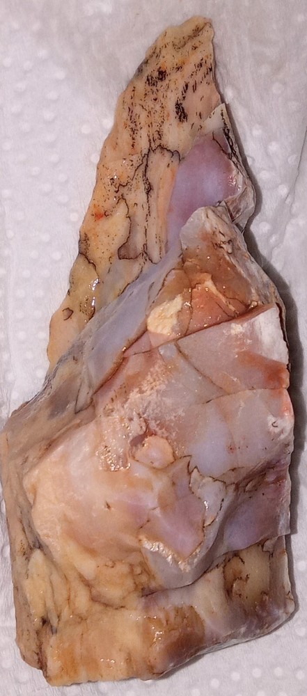 Petrified Rainbow Wood Rough AZ