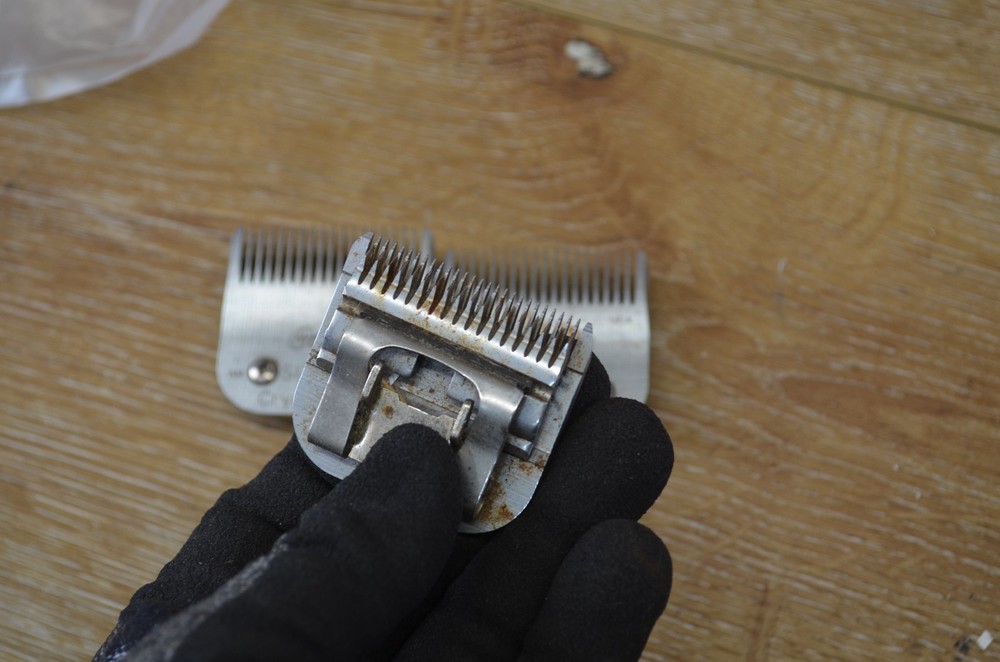 oster cryogen-x blades lot