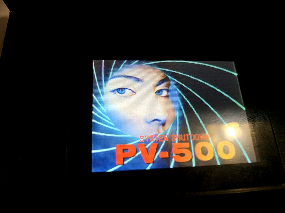 Micro DVR with LCD PV-500