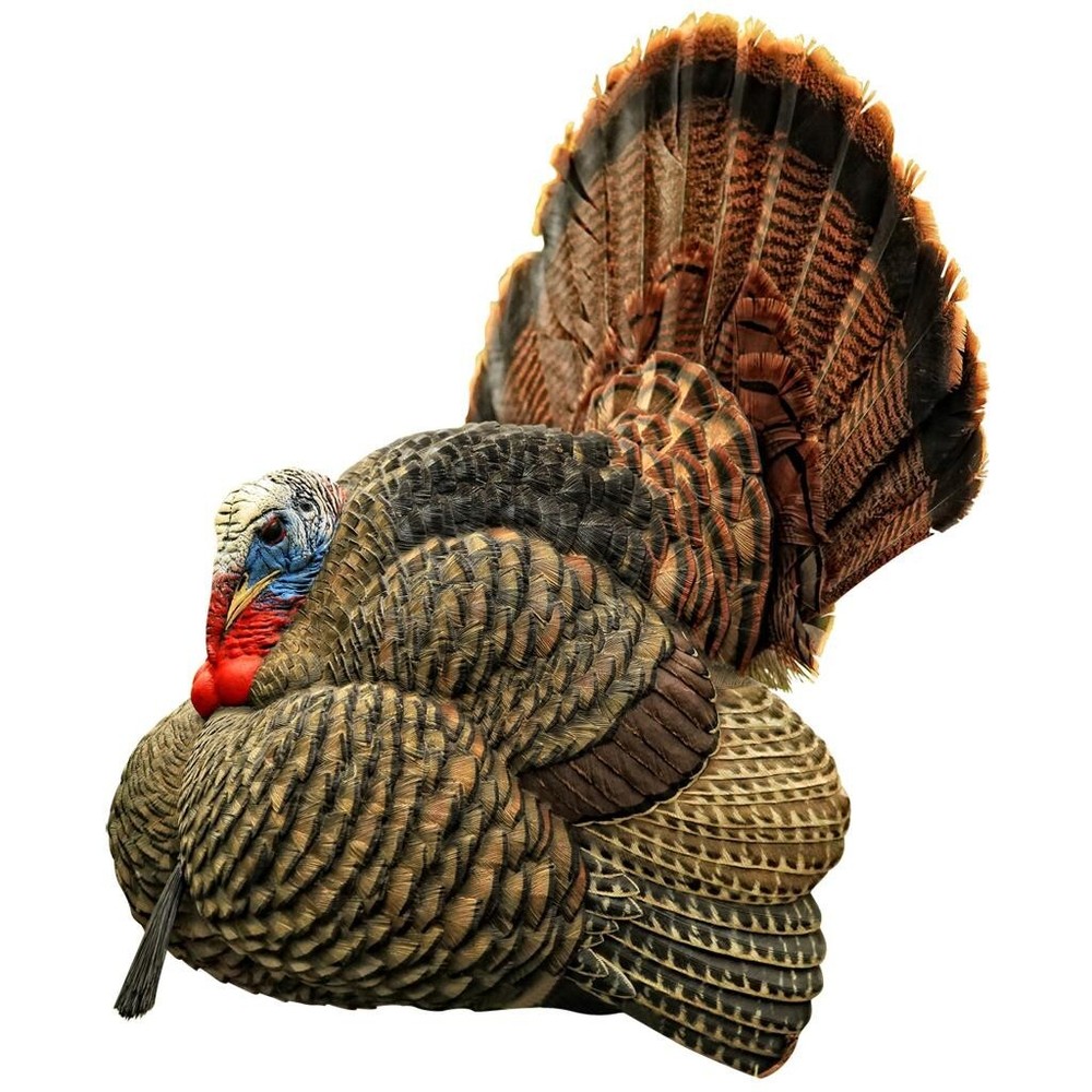 Avian-X 8004 LCD Stutter Turkey Hunting Decoy