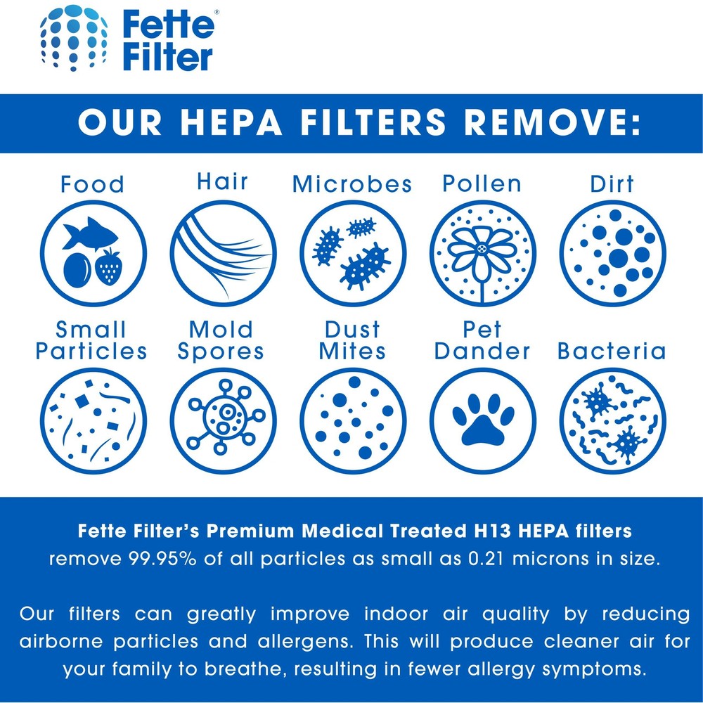 Air Purifier True HEPA Filter Replacement Compatible with Winix 116131