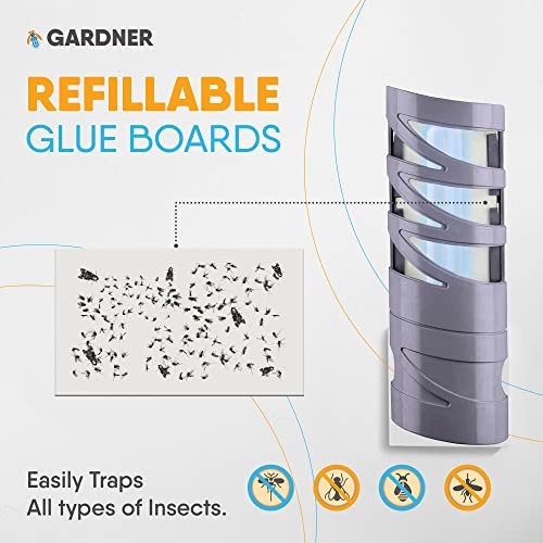 Flyweb Fly Light Glue Boards 1 Pack of 10 Replacement Glue boards for Flyweb