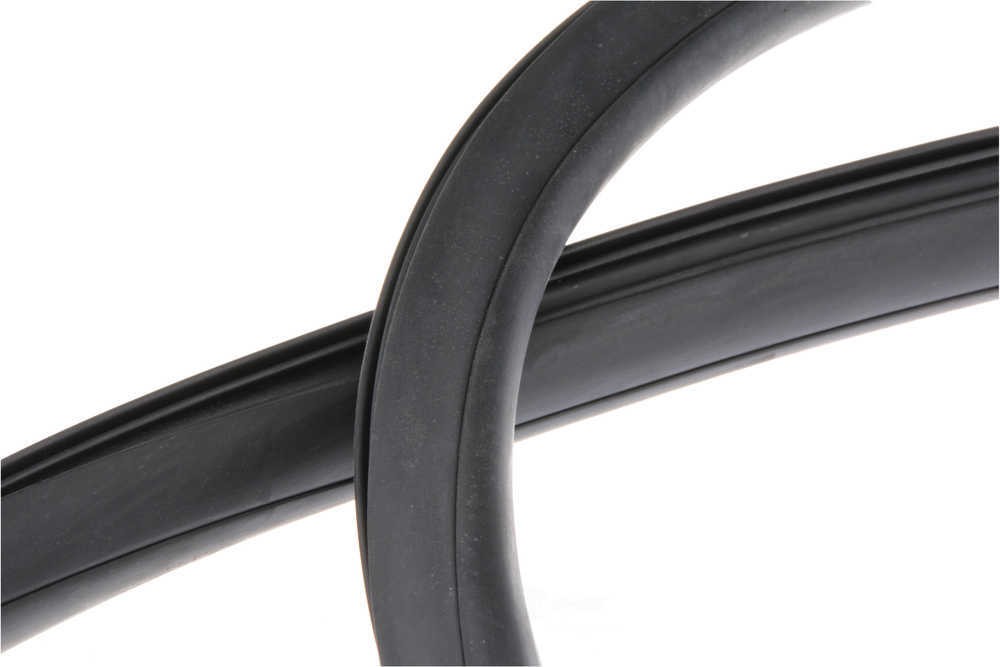 Windshield Seal URO Parts BD48848