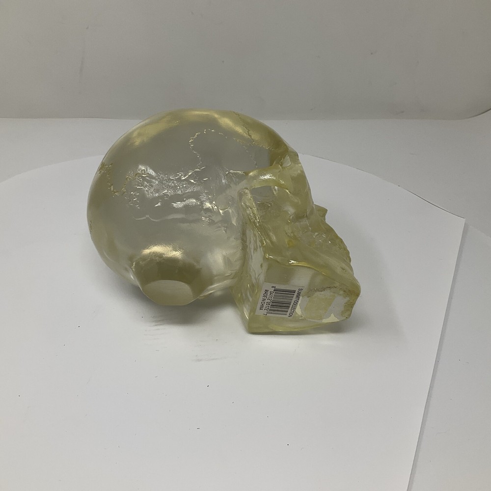 Summit Translucent Skull Head Collectible 2007 Heavy Solid Decoartion 6"