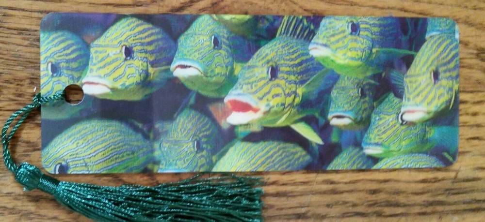 Tropical fish lenticular bookmark