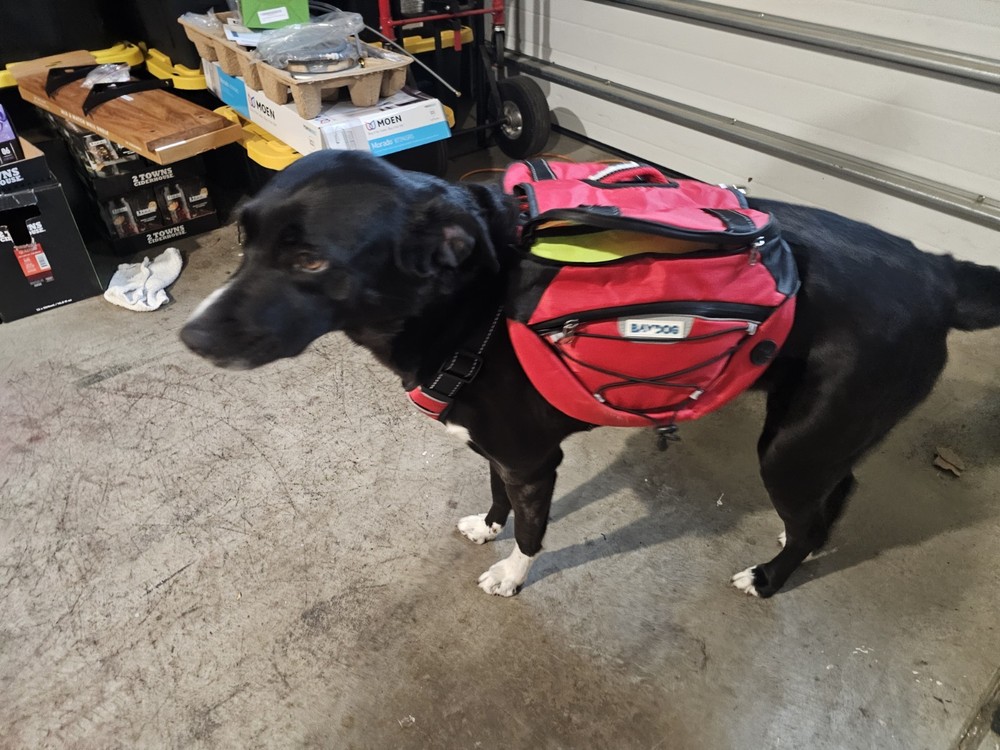 BAYDOG Dog Backpack