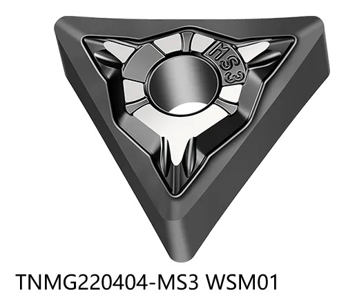 10  PCS  ORIGINAL  INSERTS       TNMG220404-MS3 WSM01