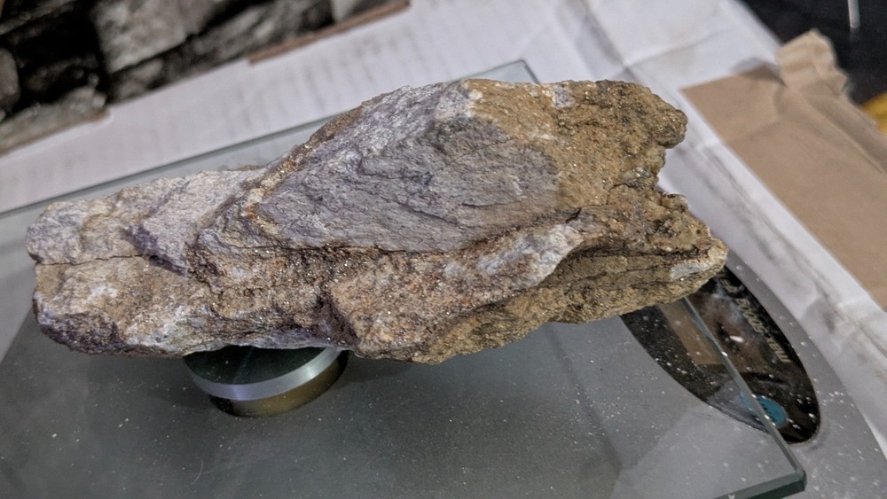 Gold Ore Specimen Visible Precious Metals Colorado