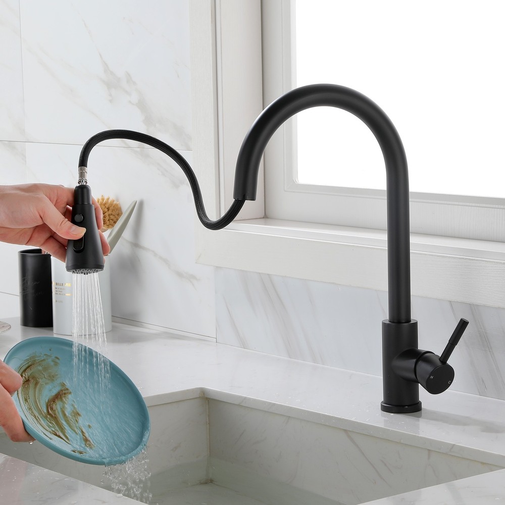 Kitchen Faucet with Pull Out Spraye Matte Black