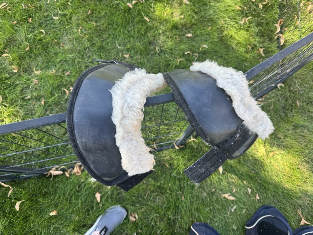 Thin Line Bell Boots For Horse - Large