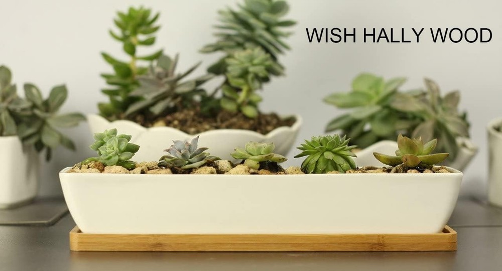 WISH HALLY WOOD 11inch Long Rectangle White Ceramic long rectangle,