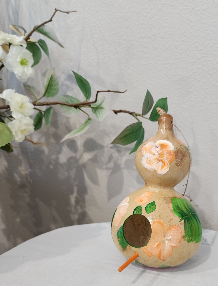 Nevada Grown Hand Painted Bird House Gourd