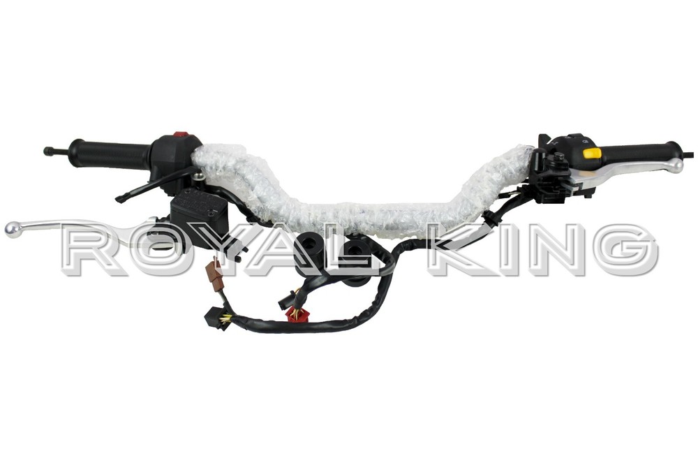 Royal Enfield Silver "Handlebar & Master Cylinder Assembly" Himalayan 411 Combo