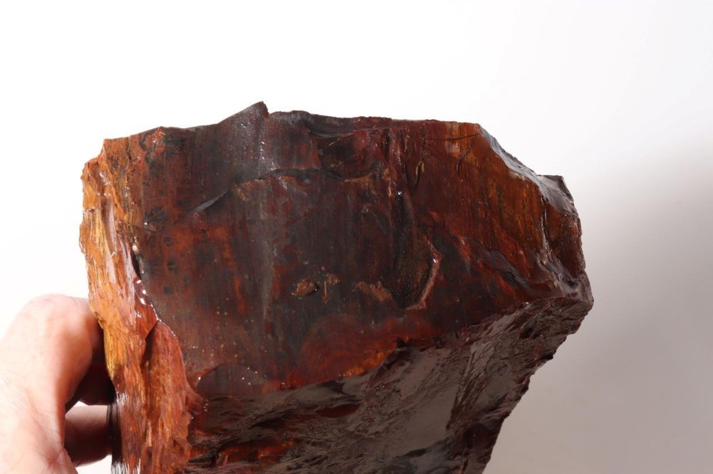 Biggs Scenic type Jasper lapidary 5 lb 10 oz end cut rough