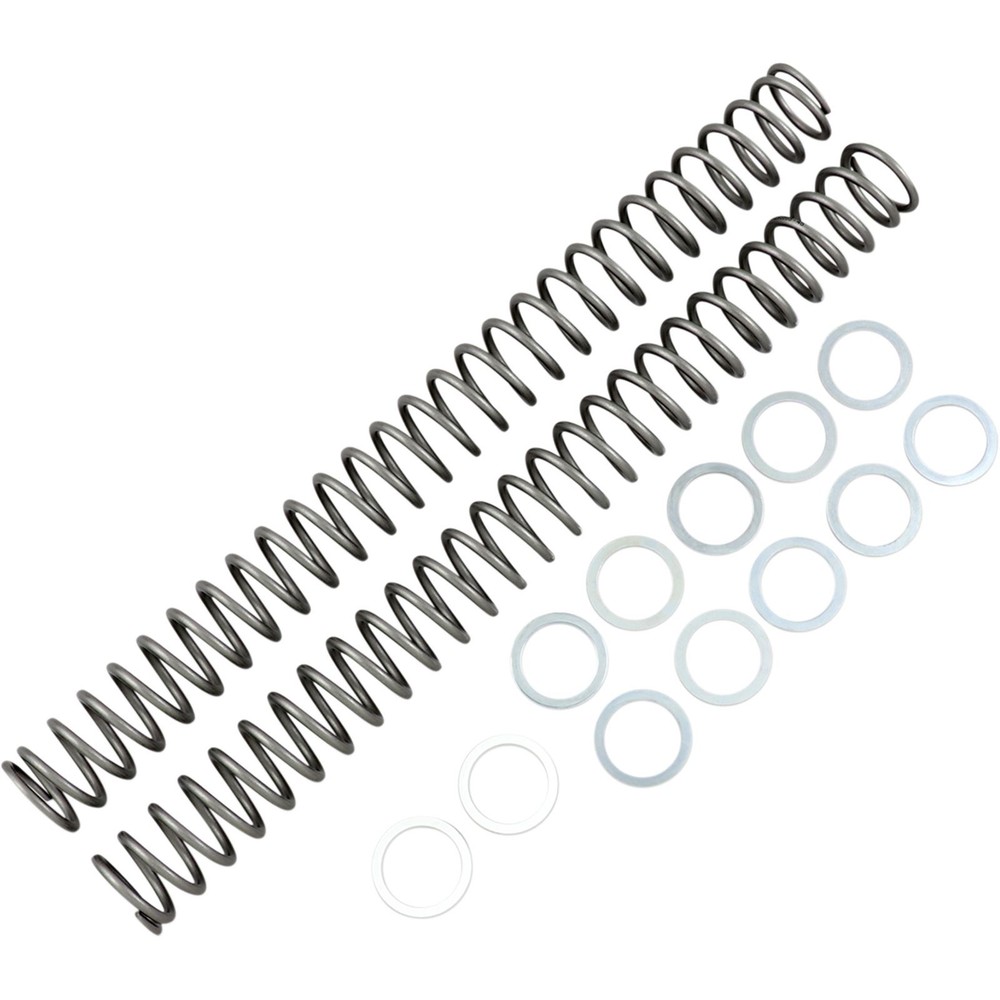 Race Tech Fork Spring 0.46kg FRSP 434646
