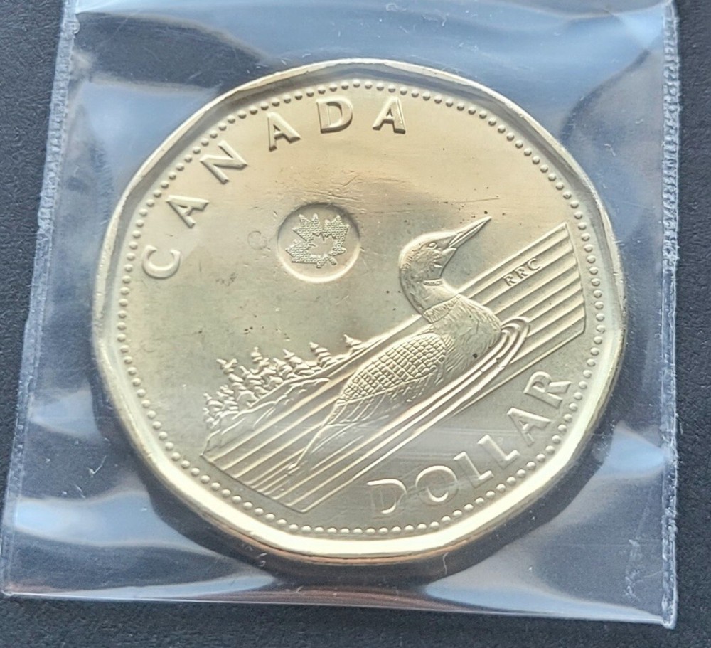 ***CANADA LOONIE 2025 *** FROM FIRST STRIKE MINT ROLL ***