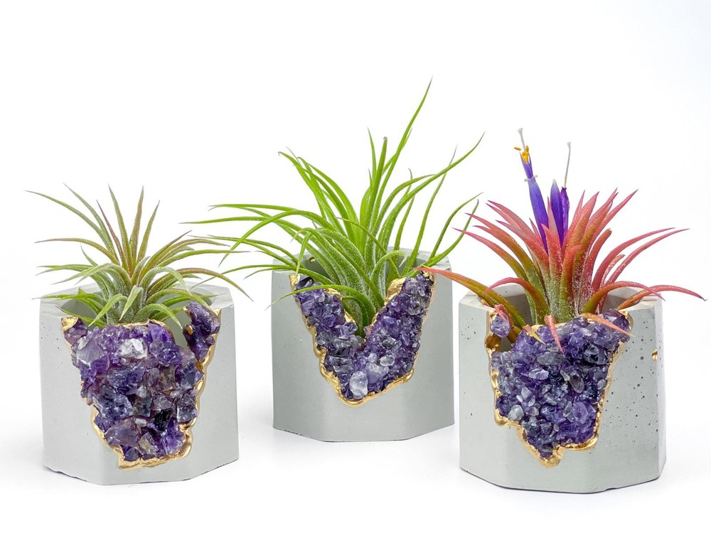 Amethyst Crystal Concrete Planter | Geode Succulent Pot