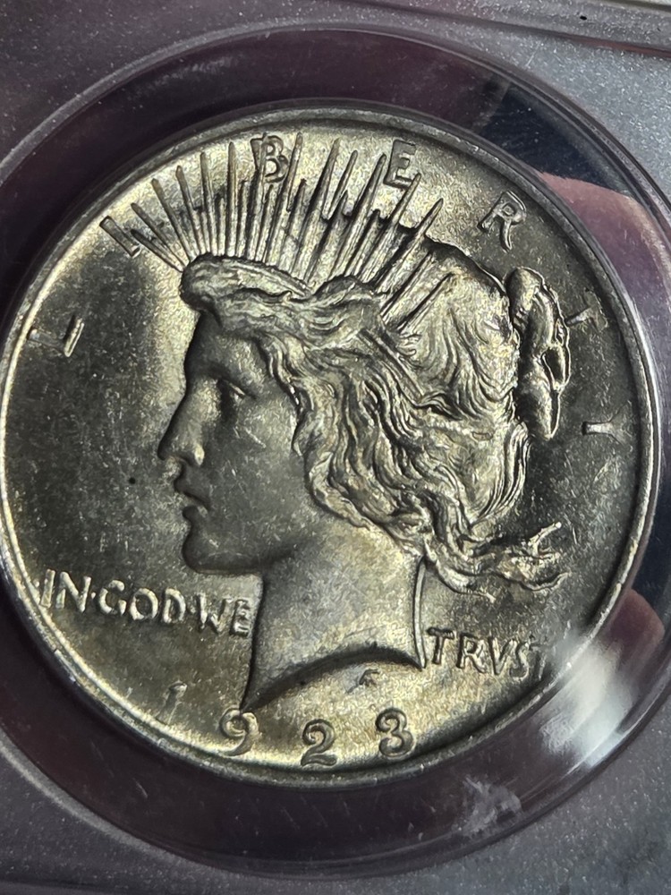 1923 $1 Peace ANACS MS64 Toned #7720792