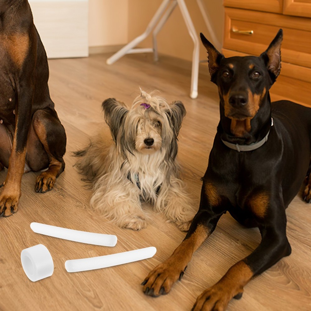 10 Pcs Doberman Ear Posting Kit Dog Tying Device Puppy Support Tool