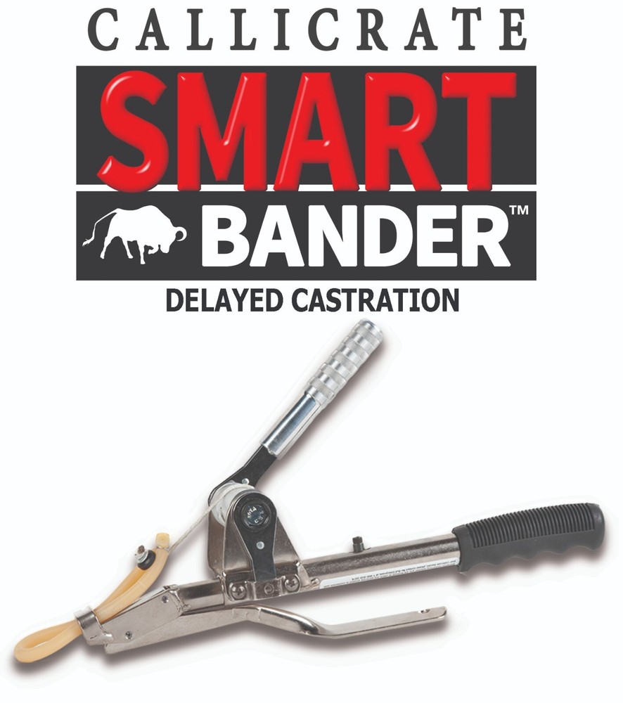 Callicrate SMART Bander Kit