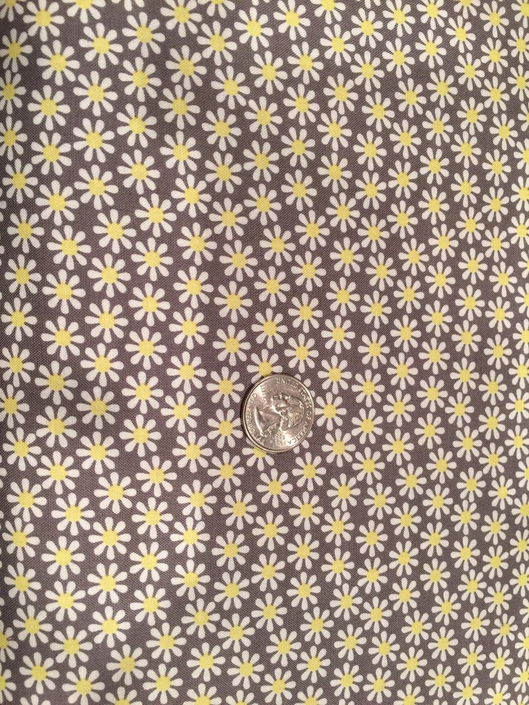 Daisy Flowers By Michael Miller CTRN/GREY Fabric BTHY Cute!