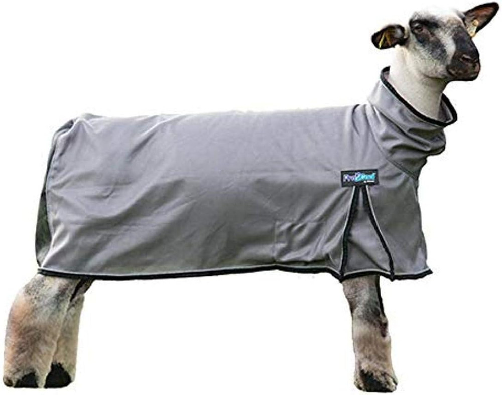 Procool™ Sheep Blanket with Reflective Piping, Extra Small, Gray