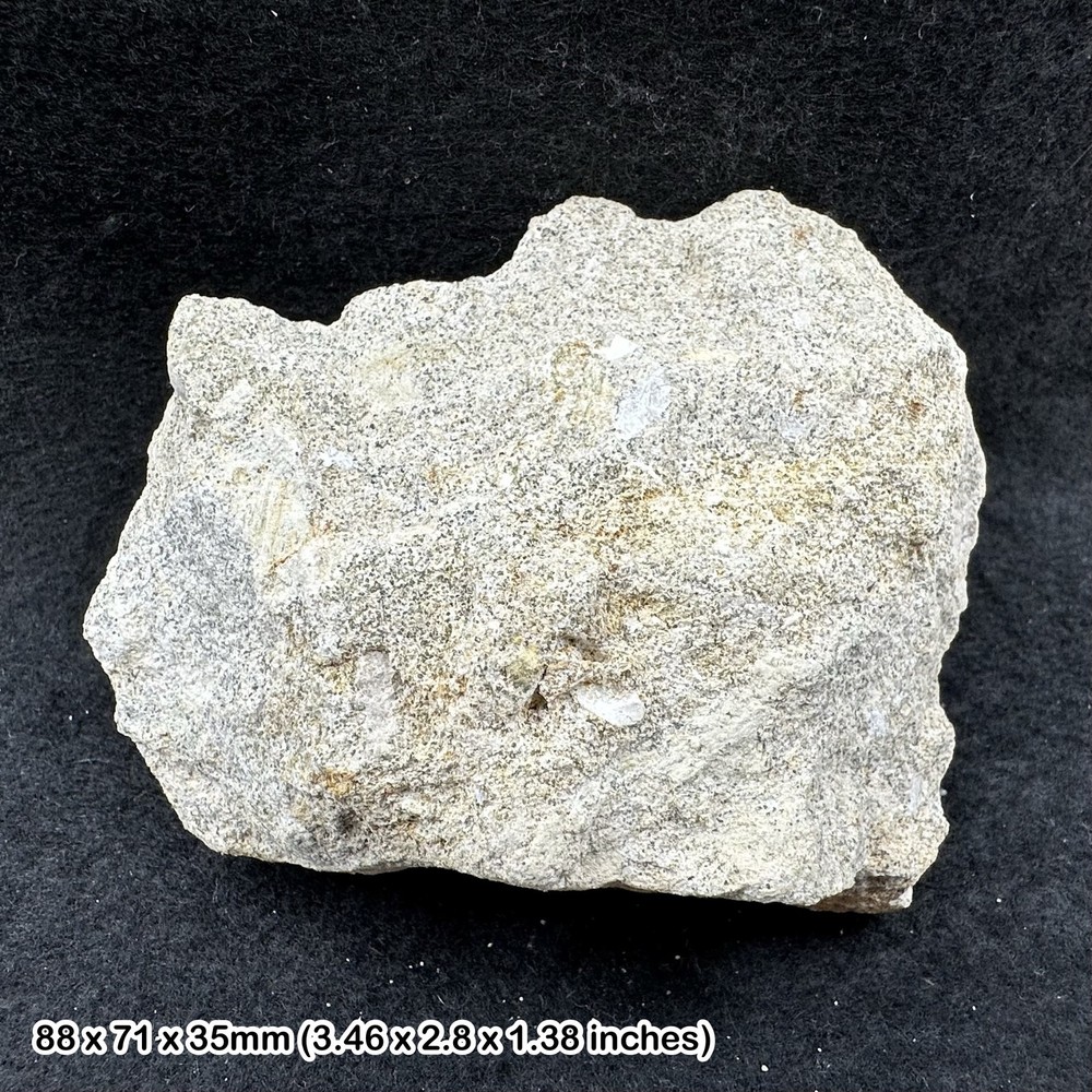 Upper Greensand, Cretaceous, Devon (TEACHING CLASS ROCK) GCSE GEOLOGY
