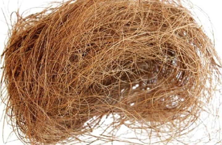 New Ceylon coconut fiber 50g