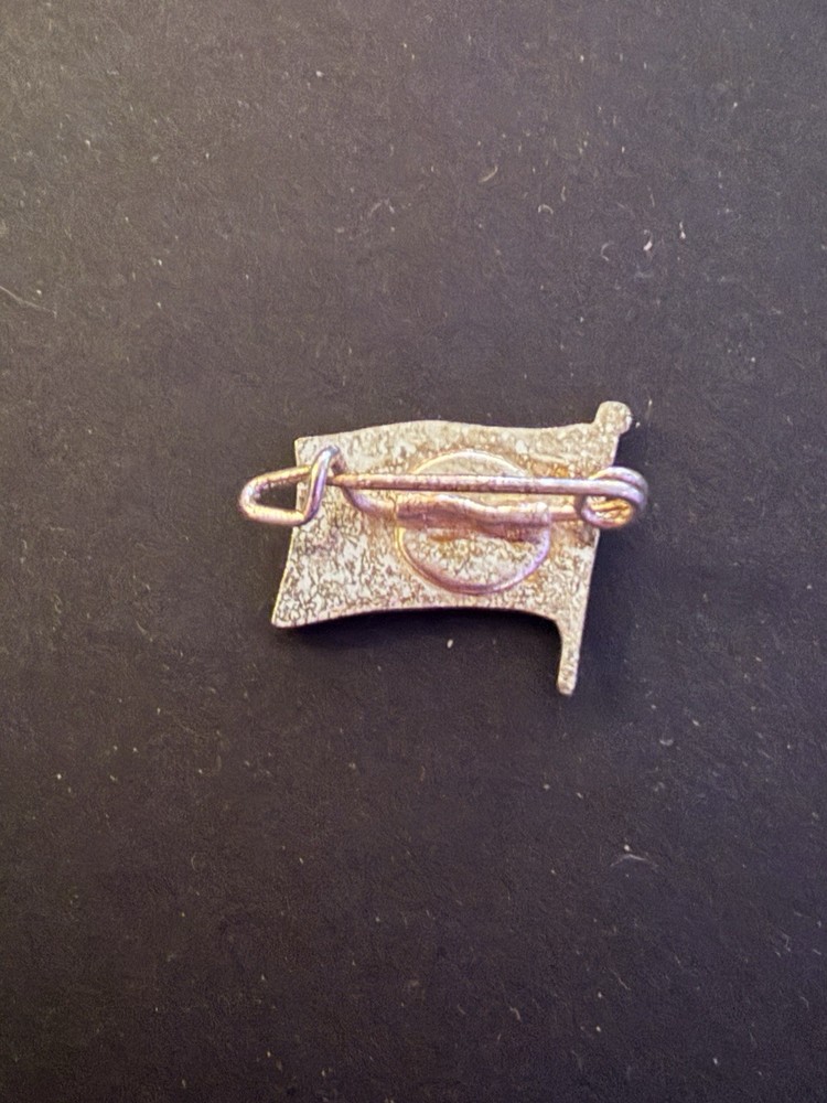 Hapag-Lloyd Flag Pin