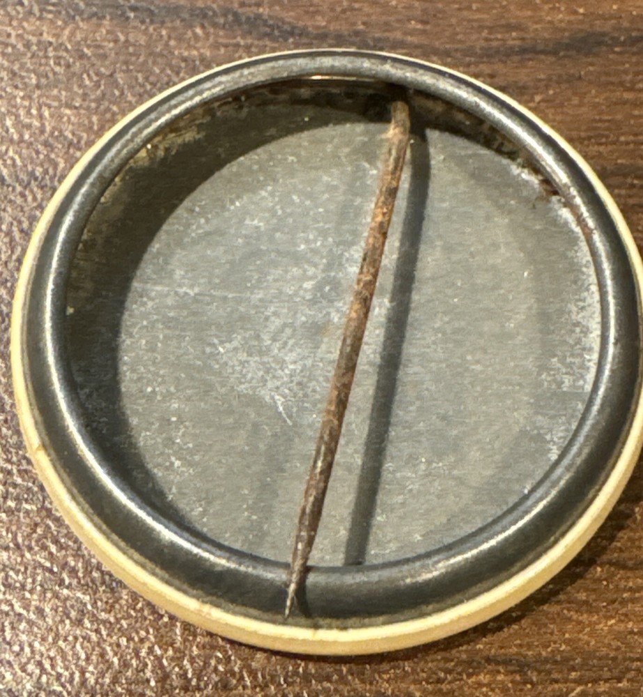 Vintage VOTE UNITY Pin